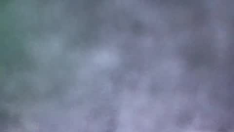 all_most_sane online show from May 2026 04:02:02 PM
