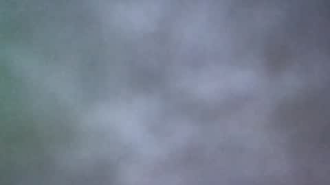 all_most_sane online show from May 2026 02:45:01 PM