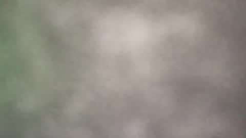all_most_sane online show from May 2026 09:11:02 PM