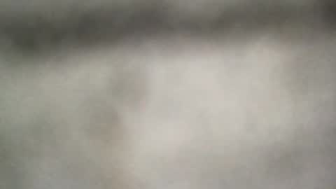 all_most_sane online show from June 2026 06:34:01 PM