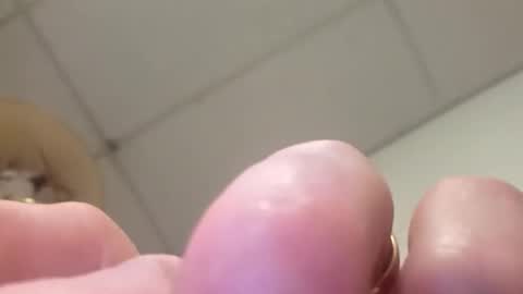 alldickandass11 online show from February 2026 04:59:01 PM