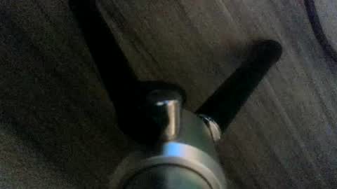 solodolo online show from July 2026 08:47:02 AM