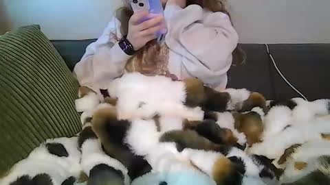 Snapshot of alliebearx chatting on April 2026 03:49:02 PM alliebearx online show from April 2026 03:49:02 PM