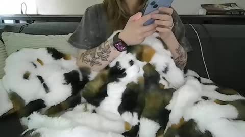 Snapshot of alliebearx chatting on April 2026 05:40:01 PM alliebearx online show from April 2026 05:40:01 PM