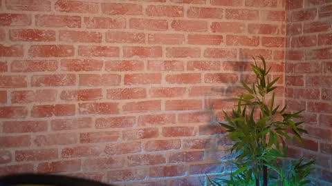 Allie online show from December 2024 09:01:01 AM