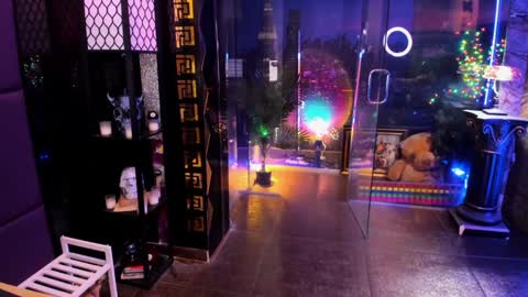 Alma online show from February 2026 08:37:02 AM