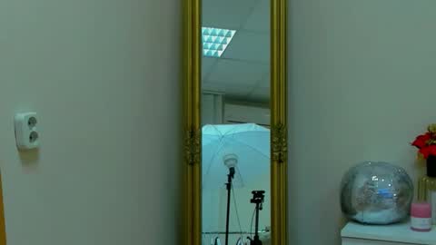 Snapshot of almafancy chatting on February 2025 12:32:01 PM Alma online show from February 2025 12:32:01 PM