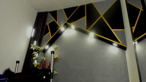 Snapshot of almma_ chatting on January 2025 07:28:02 PM ALMMA online show from January 2025 07:28:02 PM