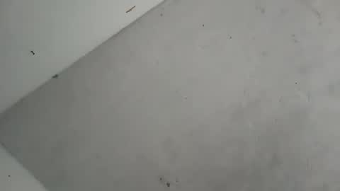 Snapshot of alondracc chatting on October 2025 12:13:02 PM Contreras online show from October 2025 12:13:02 PM