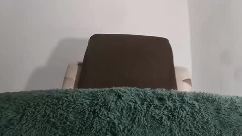 Snapshot of alotofcream chatting on October 2025 05:17:02 AM alotofcream4u online show from October 2025 05:17:02 AM