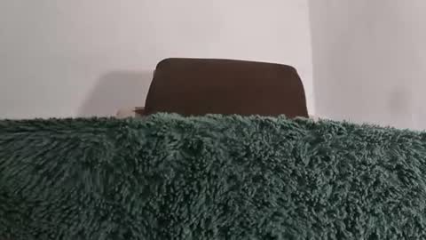 alotofcream4u online show from July 2026 05:56:01 AM