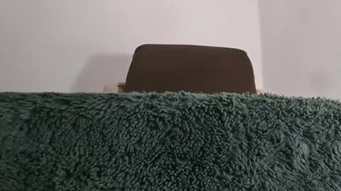 alotofcream4u online show from July 2026 06:05:01 AM