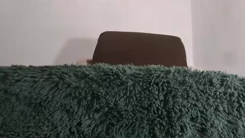 alotofcream4u online show from July 2026 02:29:01 AM