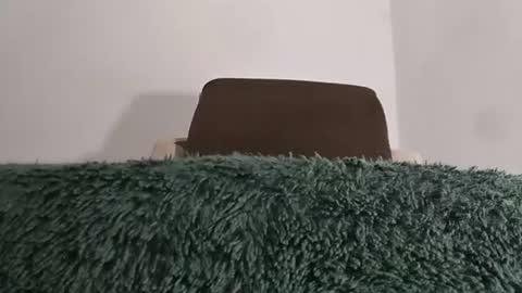 alotofcream4u online show from July 2026 01:53:01 AM