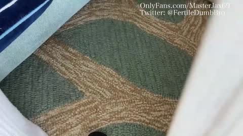 MasterJax69 online show from October 2025 04:00:01 PM