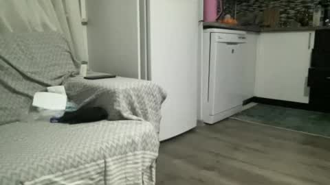 Snapshot of alphandre chatting on February 2025 06:30:02 PM AlphAndre online show from February 2025 06:30:02 PM