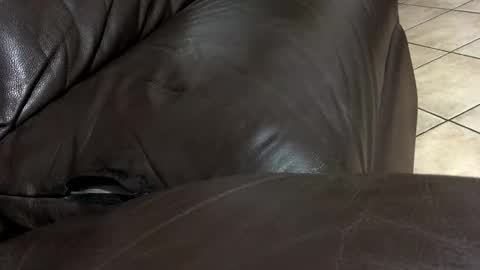 Snapshot of alto193cm chatting on February 2026 06:58:01 PM kenzo online show from February 2026 06:58:01 PM