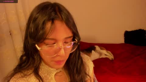 . .  online show from January 2025 11:18:01 PM