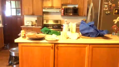 Snapshot of alvie_bones chatting on January 2025 03:03:01 PM Alvie online show from January 2025 03:03:01 PM