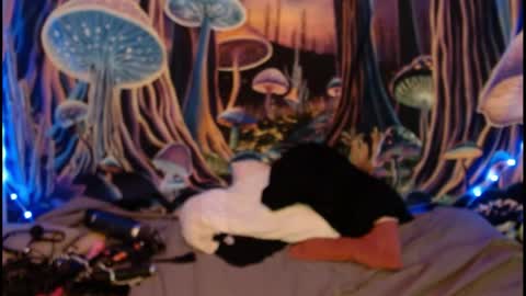 alyssaarcane online show from May 2026 09:34:01 PM