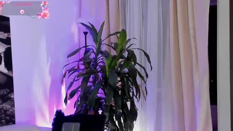 Snapshot of amatistahot1 chatting on September 2025 11:51:01 PM Amatista online show from September 2025 11:51:01 PM