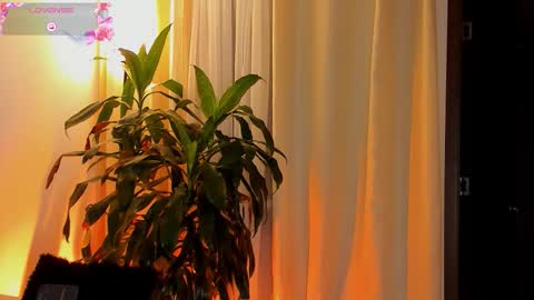 Snapshot of amatistahot1 chatting on October 2025 11:25:02 PM Amatista online show from October 2025 11:25:02 PM