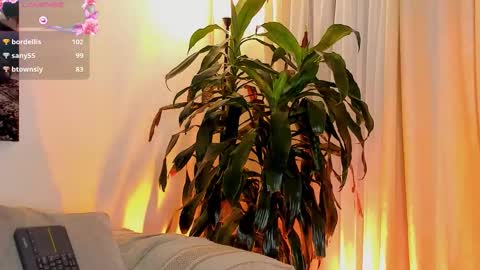 Snapshot of amatistahot1 chatting on November 2025 11:07:02 PM Amatista online show from November 2025 11:07:02 PM