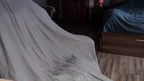 Malina online show from January 2025 08:05:01 AM