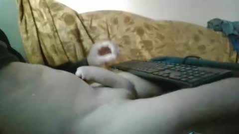 Snapshot of amazingcuteboy845 chatting on September 2025 01:16:02 PM amazingcuteboy845 online show from September 2025 01:16:02 PM