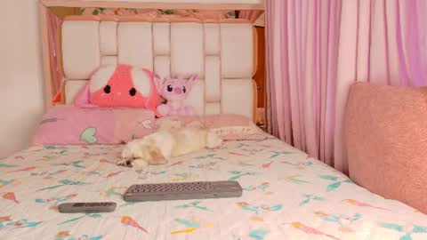   online show from July 2026 11:50:02 AM