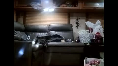 Snapshot of ambionce chatting on October 2025 07:31:02 AM ambionce online show from October 2025 07:31:02 AM