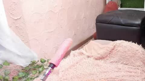 amelialu1 online show from May 2026 07:37:01 AM