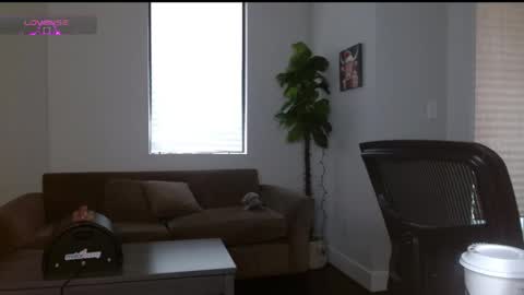 amilust online show from January 2025 04:30:02 PM