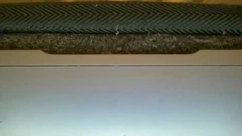 23cm4you online show from February 2026 10:59:01 PM