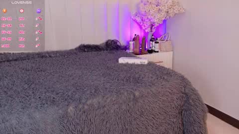 Amy online show from February 2026 07:17:02 PM