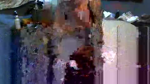 Snapshot of analwhore666 chatting on February 2025 06:10:02 PM kinkylilanalslut online show from February 2025 06:10:02 PM