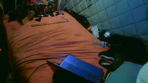 Snapshot of analwhore666 chatting on October 2025 11:00:02 AM kinkylilanalslut online show from October 2025 11:00:02 AM