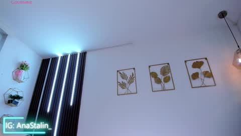 Snapshot of anastalin chatting on February 2026 06:06:01 PM Ana Stalin online show from February 2026 06:06:01 PM