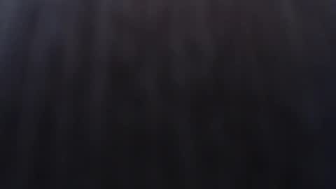   online show from December 2024 11:43:02 AM