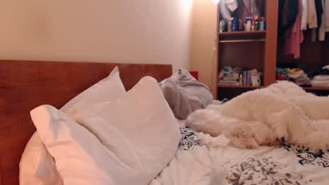 Andra online show from February 2025 04:10:02 PM