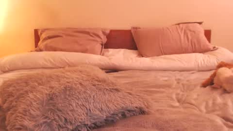 Andra online show from February 2026 03:55:02 AM