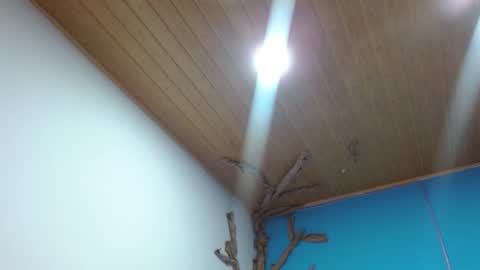 Andre online show from February 2026 02:53:01 AM