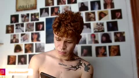 Snapshot of andreewwolffman chatting on December 2024 11:53:02 PM Andrew online show from December 2024 11:53:02 PM