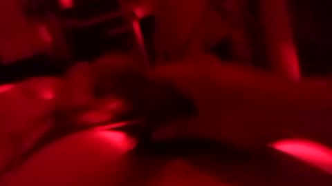 andres200603 online show from March 2026 07:02:02 AM