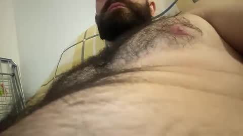 andrydi online show from February 2026 12:09:02 AM