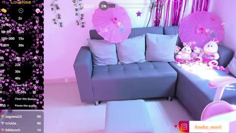          online show from February 2025 04:58:02 PM