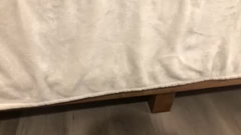 Mira13 online show from February 2026 06:32:01 AM