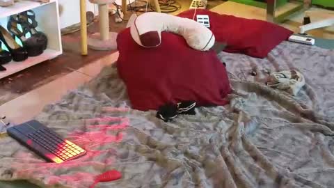 Snapshot of angelinasia chatting on March 2025 04:51:02 AM Angel online show from March 2025 04:51:02 AM