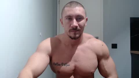 Snapshot of angelofit chatting on December 2024 04:31:01 PM ------- SEX SHOW WITH GUYS AND GIRLS MUSCLE SHOW online show from December 2024 04:31:01 PM