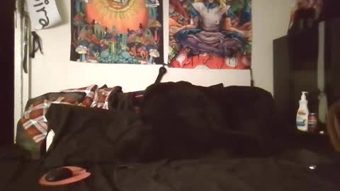 Angel and Mark online show from February 2026 05:33:02 AM